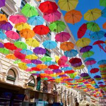 Timisoara featuring outdoor art